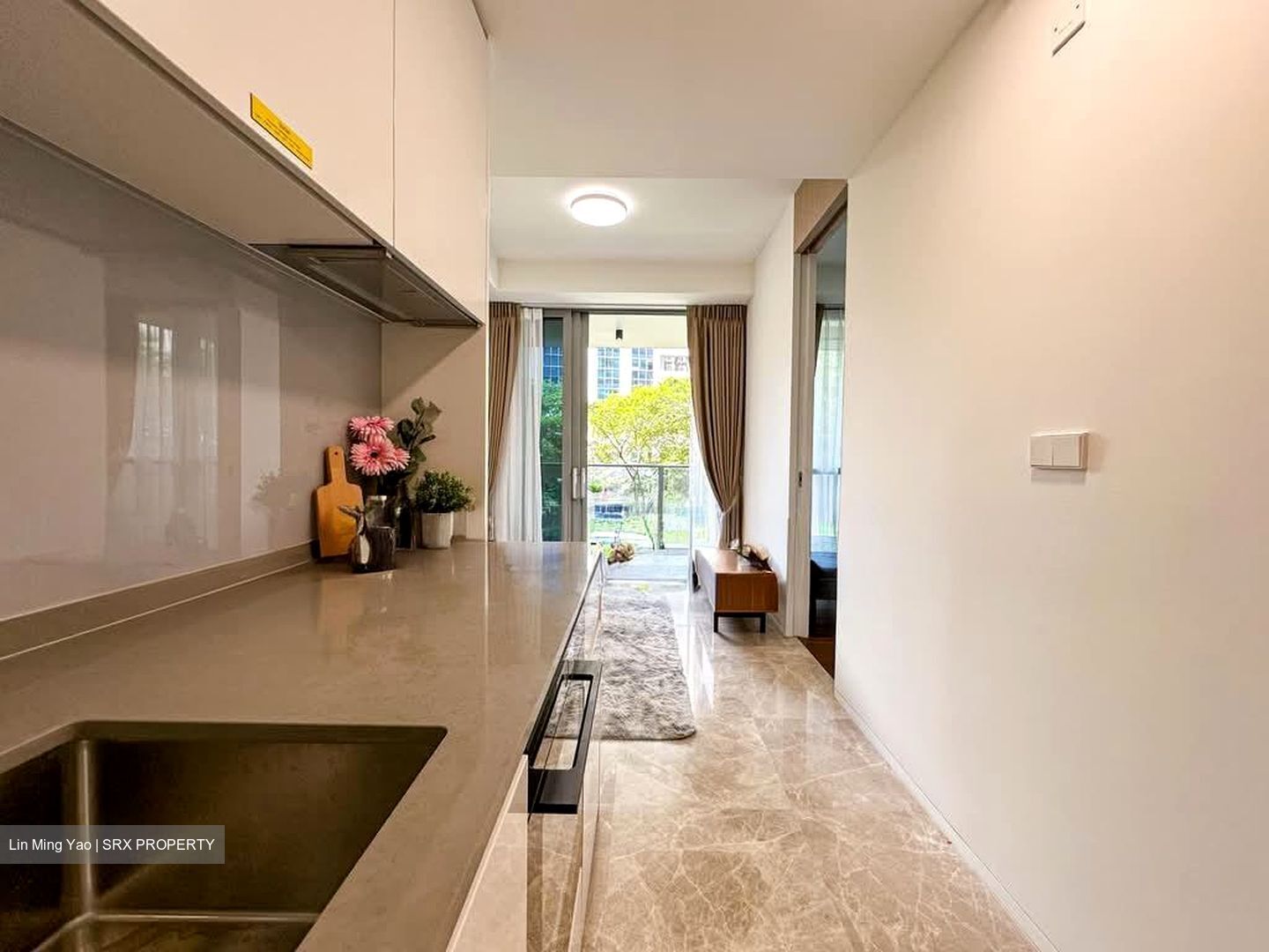 Amber Park (D15), Condominium #569728711